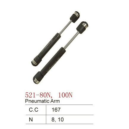 IREX - Pneumatic Arm